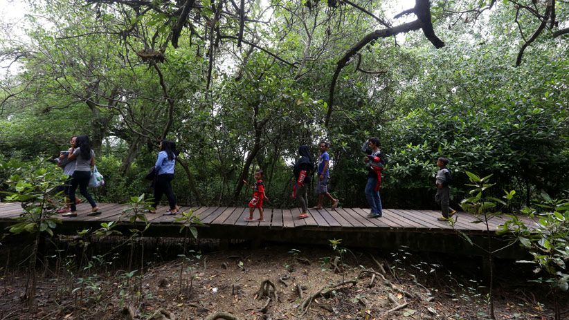 Libur Tahun Baru, Hutan Mangrove Wonorejo Dipenuhi Pengunjung - Bagian 2