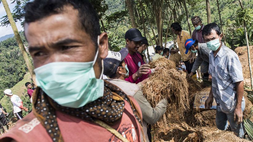 Gotong Royong Selamatkan Padi yang Tertimbun Longsor Sukabumi - Bagian 3