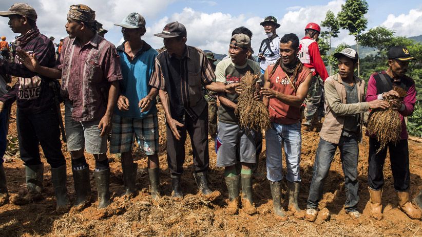 Gotong Royong Selamatkan Padi yang Tertimbun Longsor Sukabumi - Bagian 1