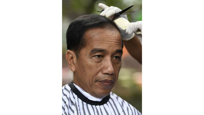 Presiden Jokowi Potong Rambut di Bawah Pohon, Begini Hasilnya - Bagian 4