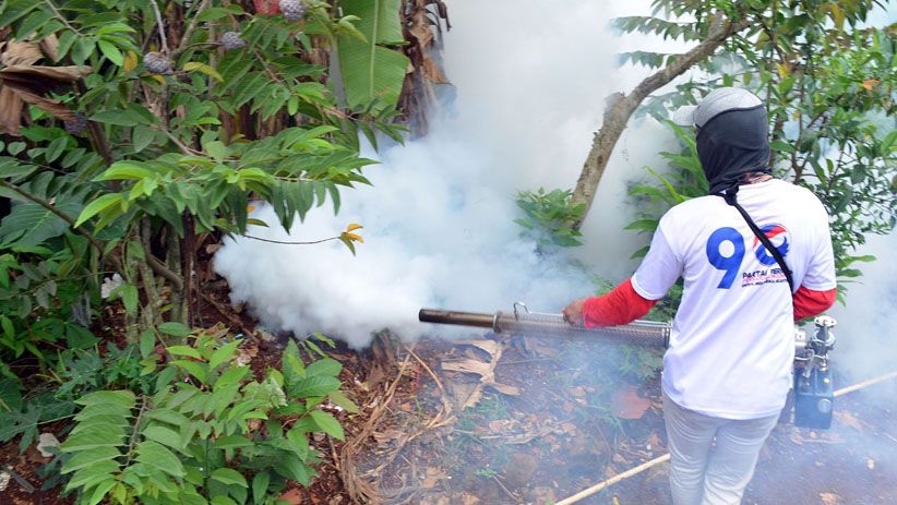 Cegah DBD, Caleg Partai Perindo Dapil Jabar V Fogging Desa Tajurhalang - Bagian 5