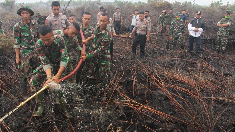 Kebakaran Lahan Gambut di Aceh Barat Sulit Dipadamkan - Bagian 3