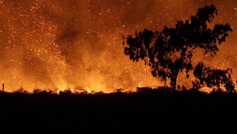 Kebakaran Lahan Gambut di Aceh Barat Sulit Dipadamkan - Bagian 1