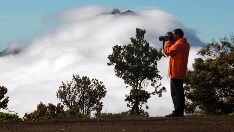 Menikmati Keindahan Alam dari Puncak Gunung Merbabu - Bagian 7