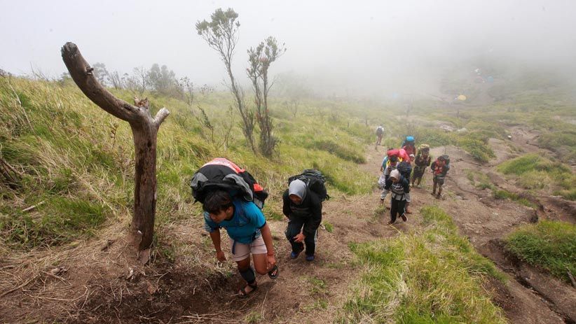 Menikmati Keindahan Alam dari Puncak Gunung Merbabu - Bagian 6