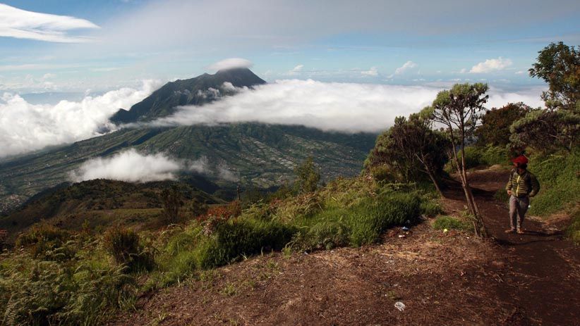 Menikmati Keindahan Alam dari Puncak Gunung Merbabu - Bagian 3