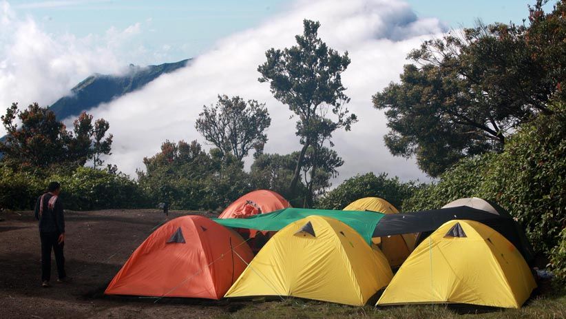 Menikmati Keindahan Alam dari Puncak Gunung Merbabu - Bagian 4