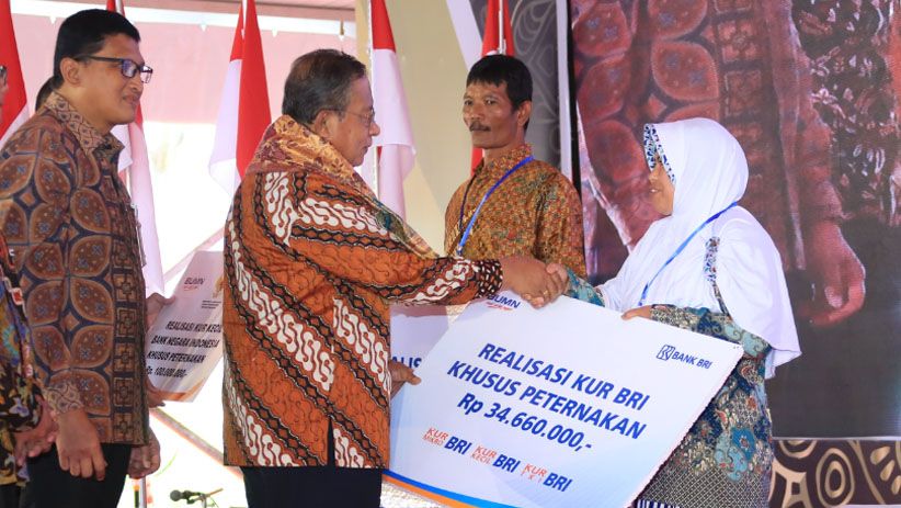 Bank BRI Sukseskan Peluncuran KUR Khusus Peternakan Rakyat - Bagian 1