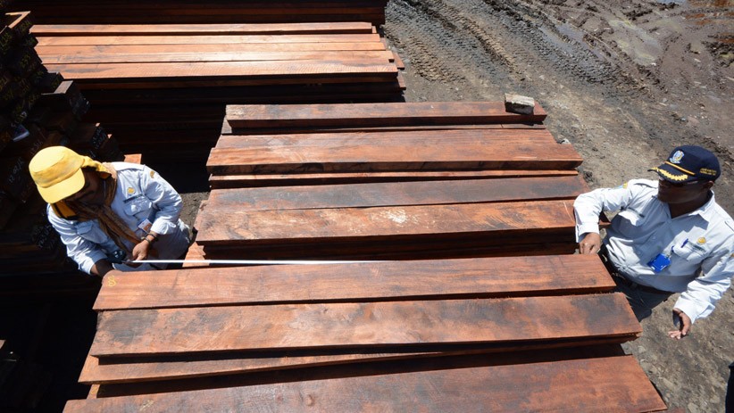 KLHK Sita 384 Kontainer Berisi Kayu Ilegal Asal Papua - Bagian 3