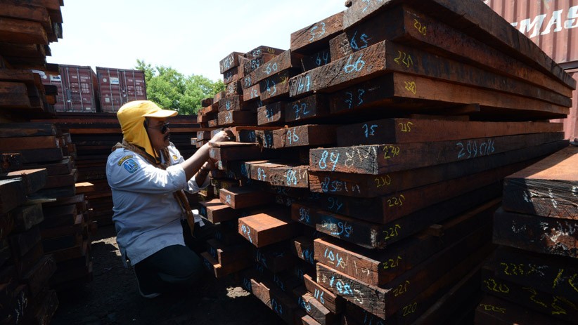 KLHK Sita 384 Kontainer Berisi Kayu Ilegal Asal Papua - Bagian 4