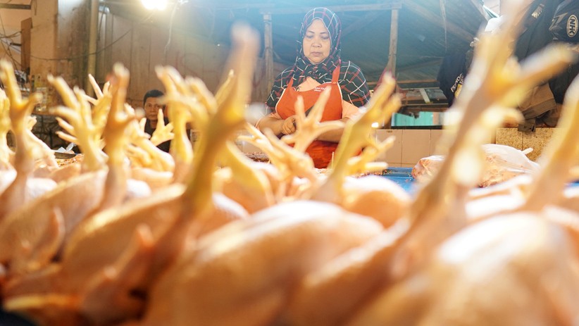 Jelang Ramadan, Harga Daging Ayam dan Sapi Merangkak Naik - Bagian 1