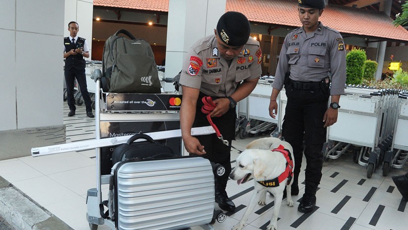 Polisi Kerahkan Anjing Pelacak Bantu Pengamanan Bandara I Gusti Ngurah Rai - Bagian 2