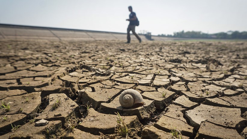 Waduk Botok Sragen Mengering, 2.488 Hektare Sawah Terancam Gagal Panen - Bagian 3