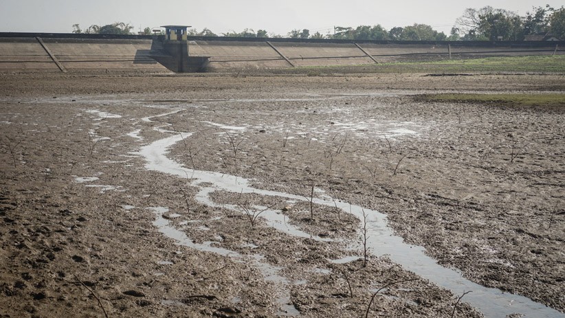 Waduk Botok Sragen Mengering, 2.488 Hektare Sawah Terancam Gagal Panen - Bagian 1