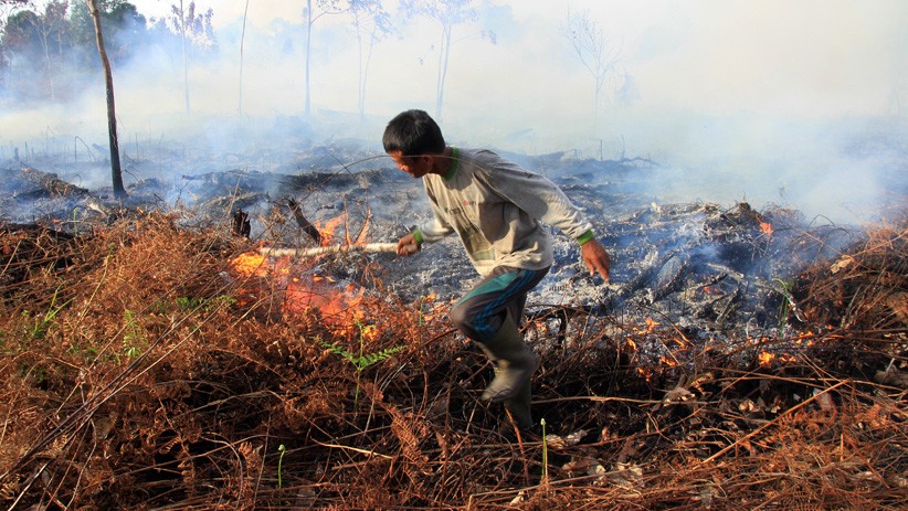 Kebakaran Hutan dan Lahan di Aceh Seluas 99 Hektare - Bagian 1