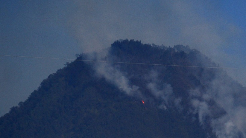 Penampakan 16 Hektare Kawasan Hutan Panderman Terbakar - Bagian 2