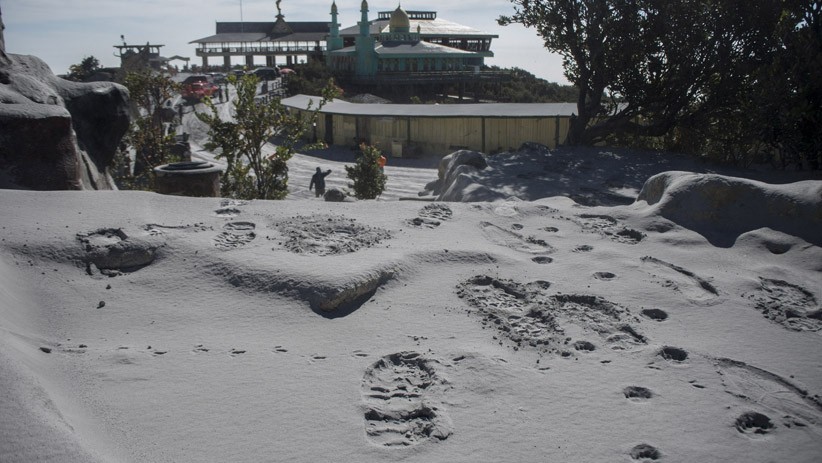 Pascaerupsi, Kawasan Gunung Tangkuban Parahu Tertutup Abu Vulkanik Tebal - Bagian 2