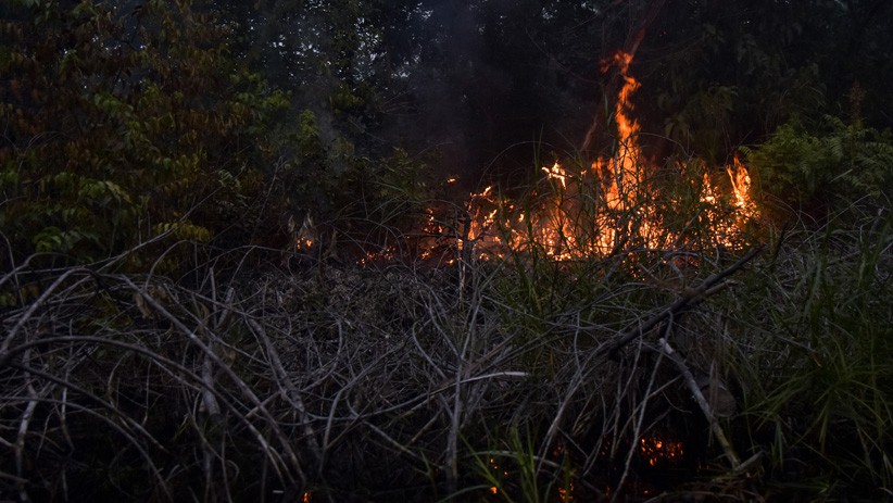 Kebakaran Hanguskan Lebih dari 27 Ribu Hektare Lahan di Riau - Bagian 3