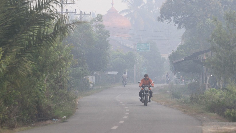Pekanbaru Diselimuti Kabut Asap, Pemkot Tetapkan Status Siaga Darurat Karhutla - Bagian 3