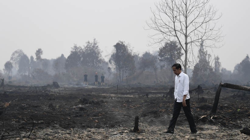 Presiden Jokowi Cek Penanganan Kebakaran Hutan dan Lahan di Riau - Bagian 2