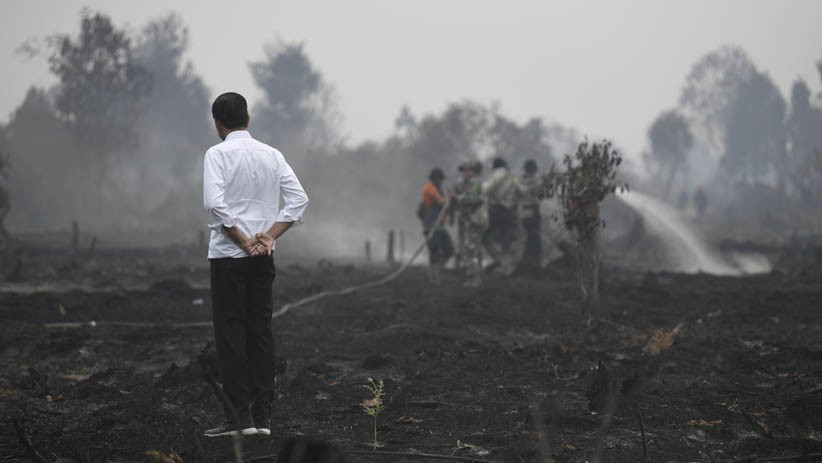 Presiden Jokowi Cek Penanganan Kebakaran Hutan dan Lahan di Riau - Bagian 1