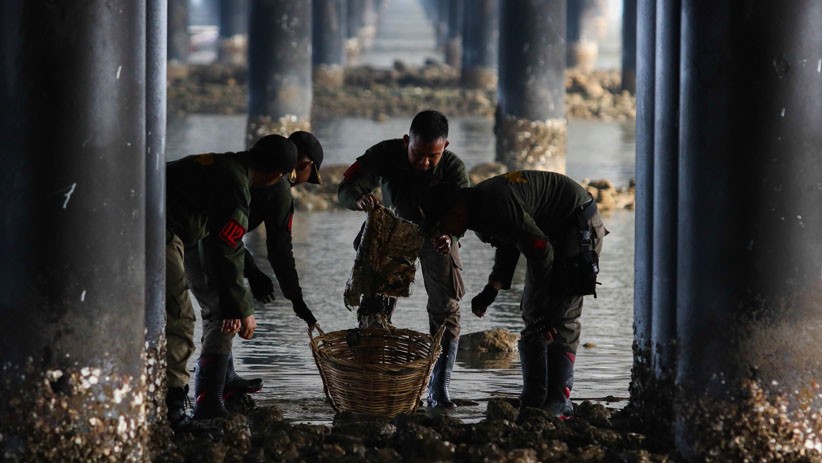Peringati Hari Nusantara, Warga Surabaya Kerja Bakti di Jembatan Suramadu - Bagian 1