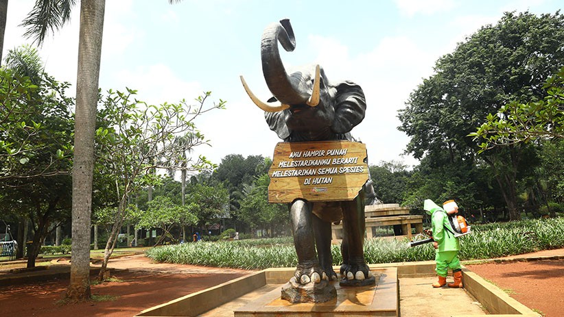 Kebun Binatang Ragunan Disemprot Cairan Disinfektan - Bagian 4